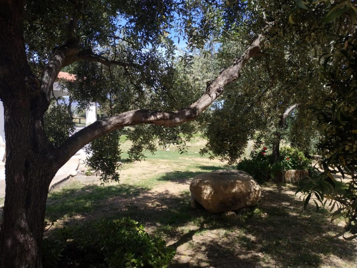 Vacanza In Ogliastra Tertenia Exterior photo