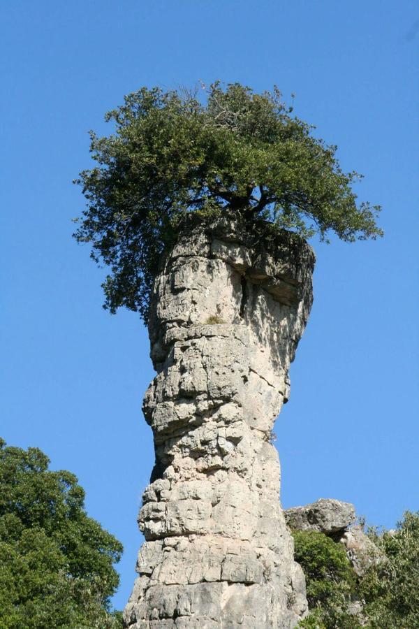 Vacanza In Ogliastra Tertenia Exterior photo